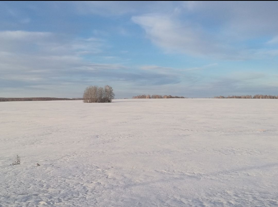 俄罗斯西伯利亚雪景