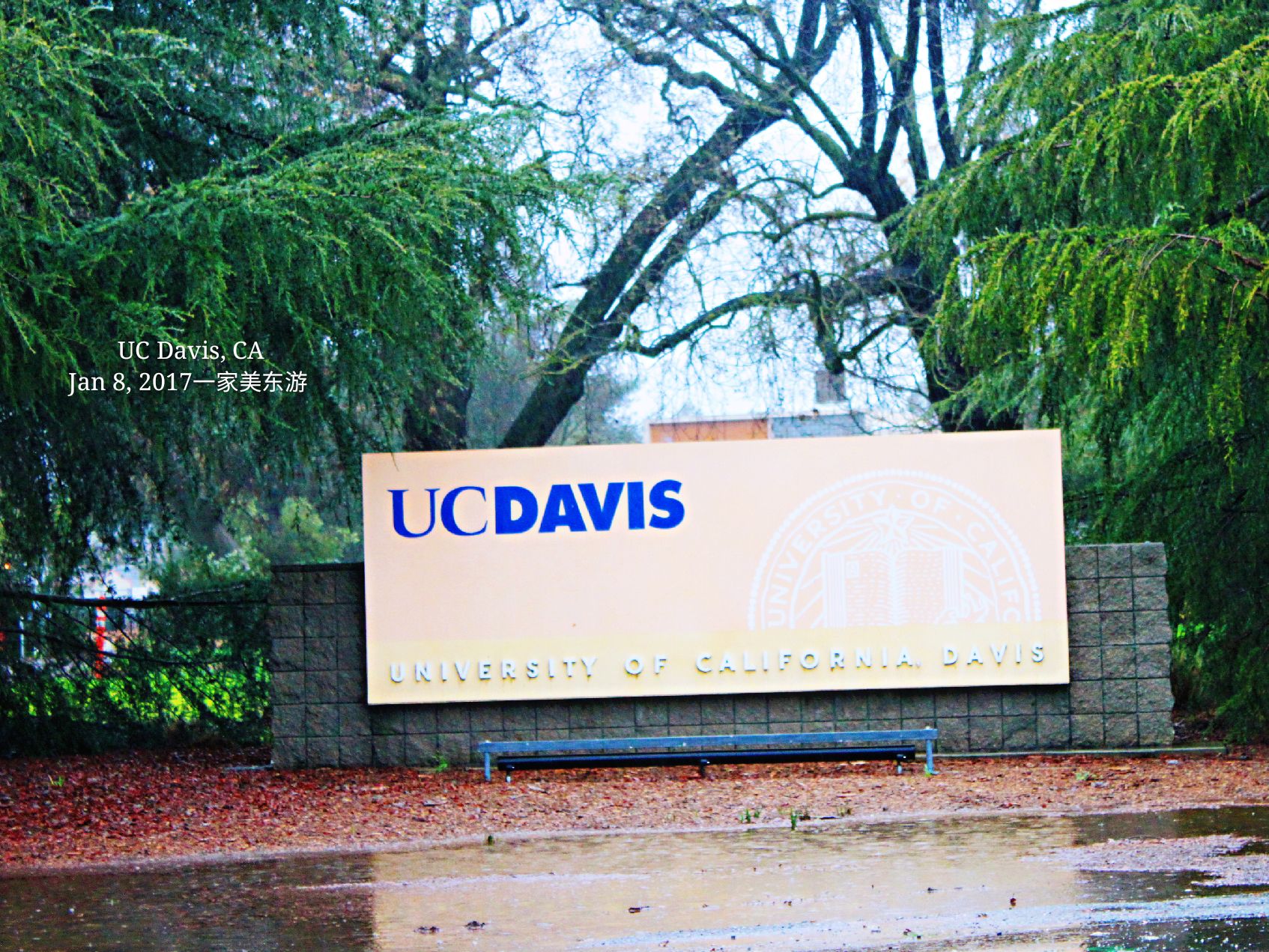 #Jan 8, 2017 #UC Davis  加州大学戴维斯分校  #UCD # 萨克拉门托  #