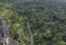 Batu Punggul Pinnacle景点图片