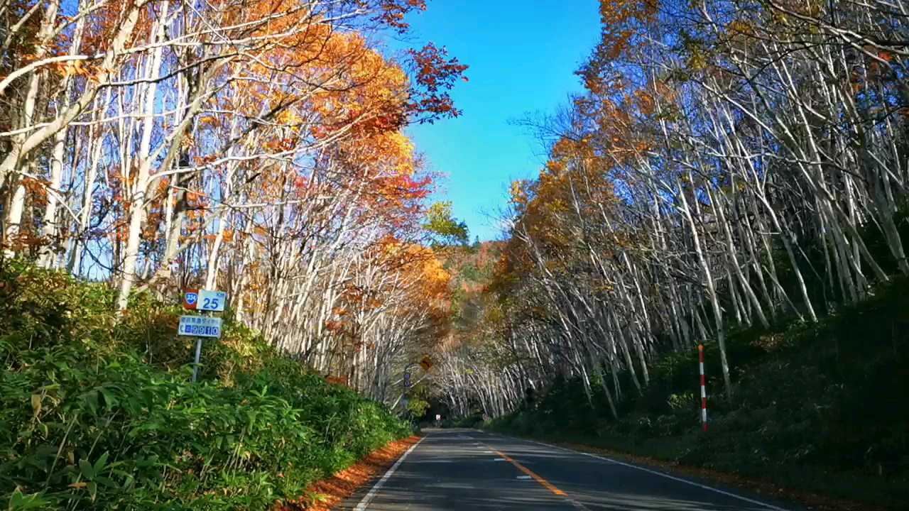 深秋，来跟着我们自驾，一起横穿，世界遗产” 知床半岛·北海道  ”！