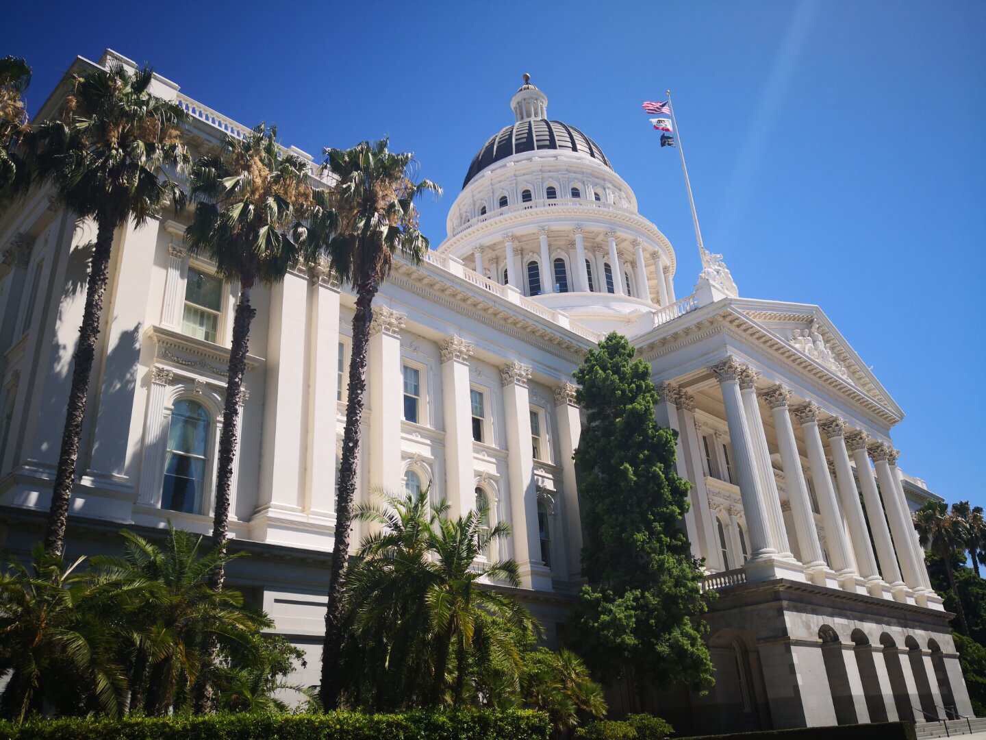 加州议会