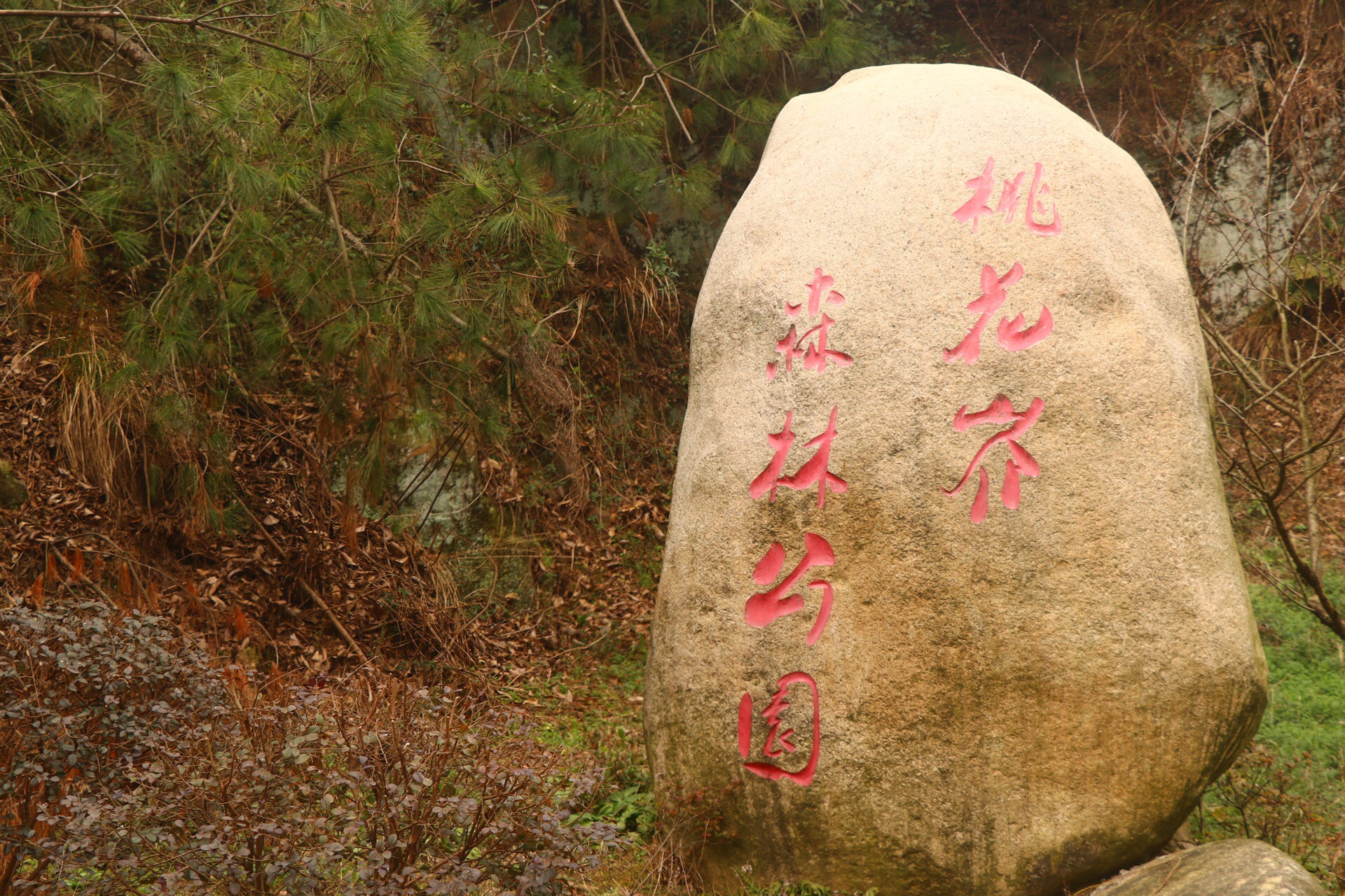 桃花岕省级森林公园，是目前长兴唯一的一个省级森林公园。公园内森林植被茂盛、山间小溪纵横、水资源充沛。