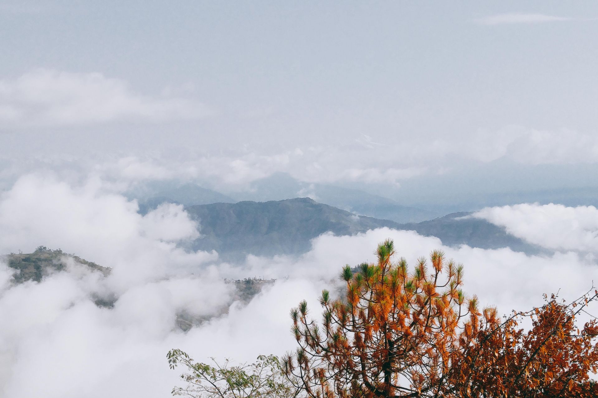 纳加阔特是可以看到喜马拉雅山脉全景的地方，不仅仅在观景台上，在你随意往小山坡方向走一会儿坐在的草坪上