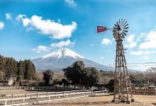 马饲野牧场景点图片