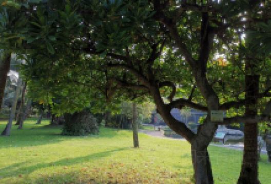 知音园景点图片