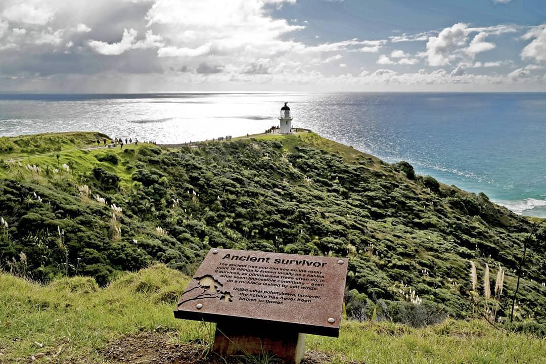 毛利人精神的寄托——Cape Reinga  【雷因格海角】 很多人会选择参观灯塔，是因为雷因格海角