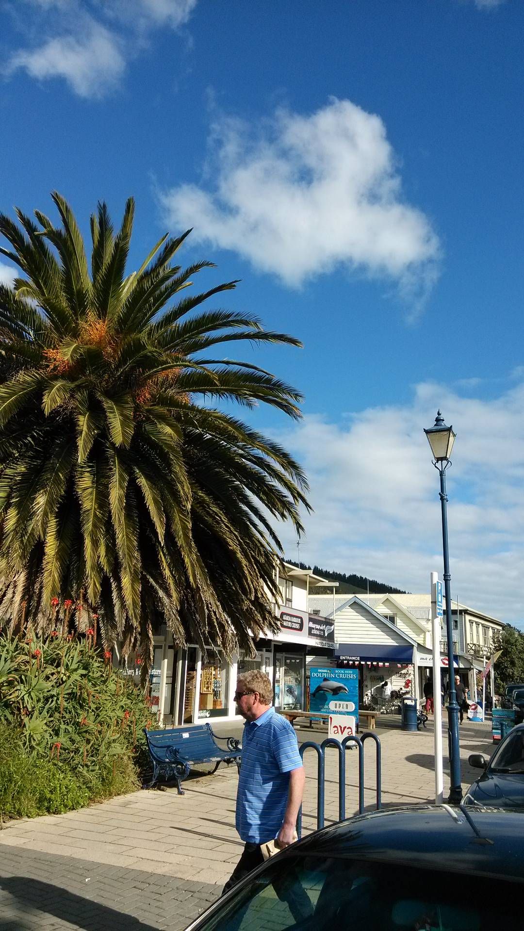 法国小镇在前来新西兰旅游的游客中名气不小，它的名字叫做阿卡罗阿，官方地名Akaroa，位于新西兰南岛