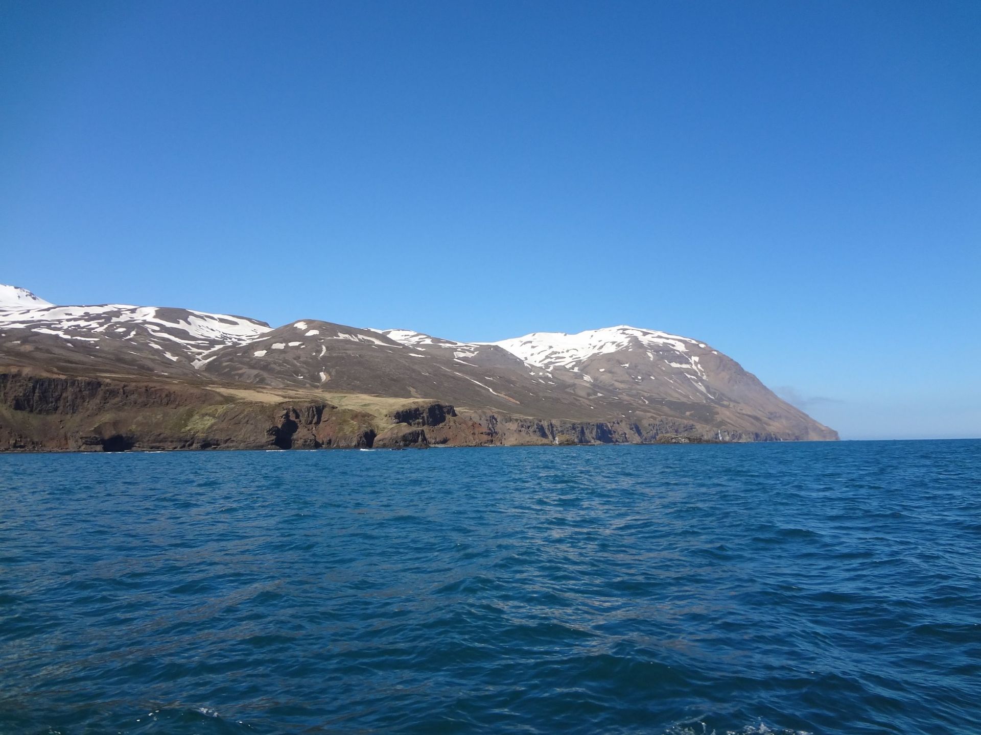 来冰岛不可错过的观鲸之旅，这里的鲸鱼才是鲸鱼，比日本冲绳的多多了，观鲸鱼的木船也非常有特色，都是木制