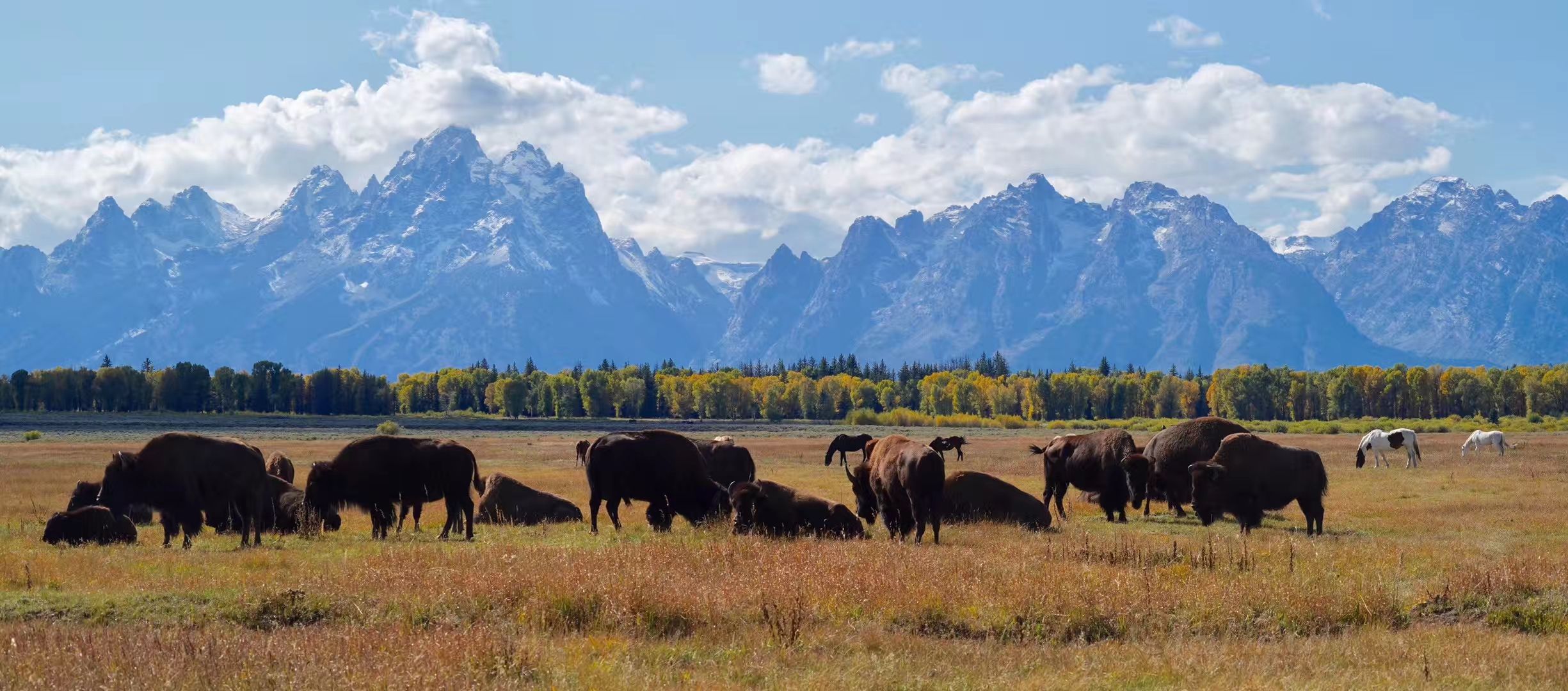 美国大提顿国家公园(Grand Teton National Park),位于怀俄明州北部，黄石国家