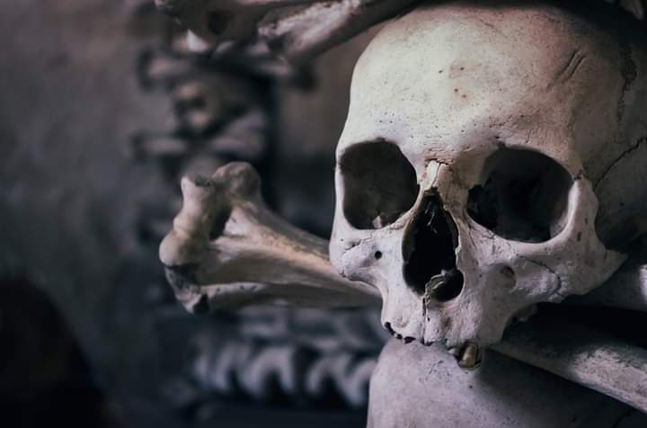 大瘟疫时期流行的尸骨在十九世纪被作为元素装点上帝的荣光并纪念大瘟疫时期的亡灵。