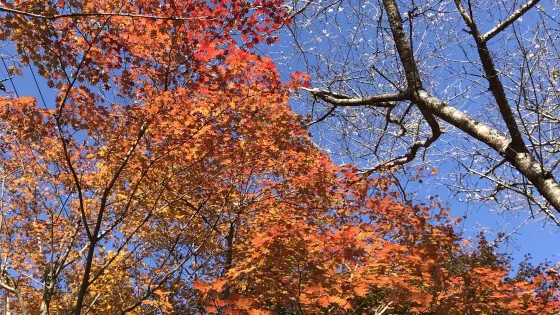 川見町