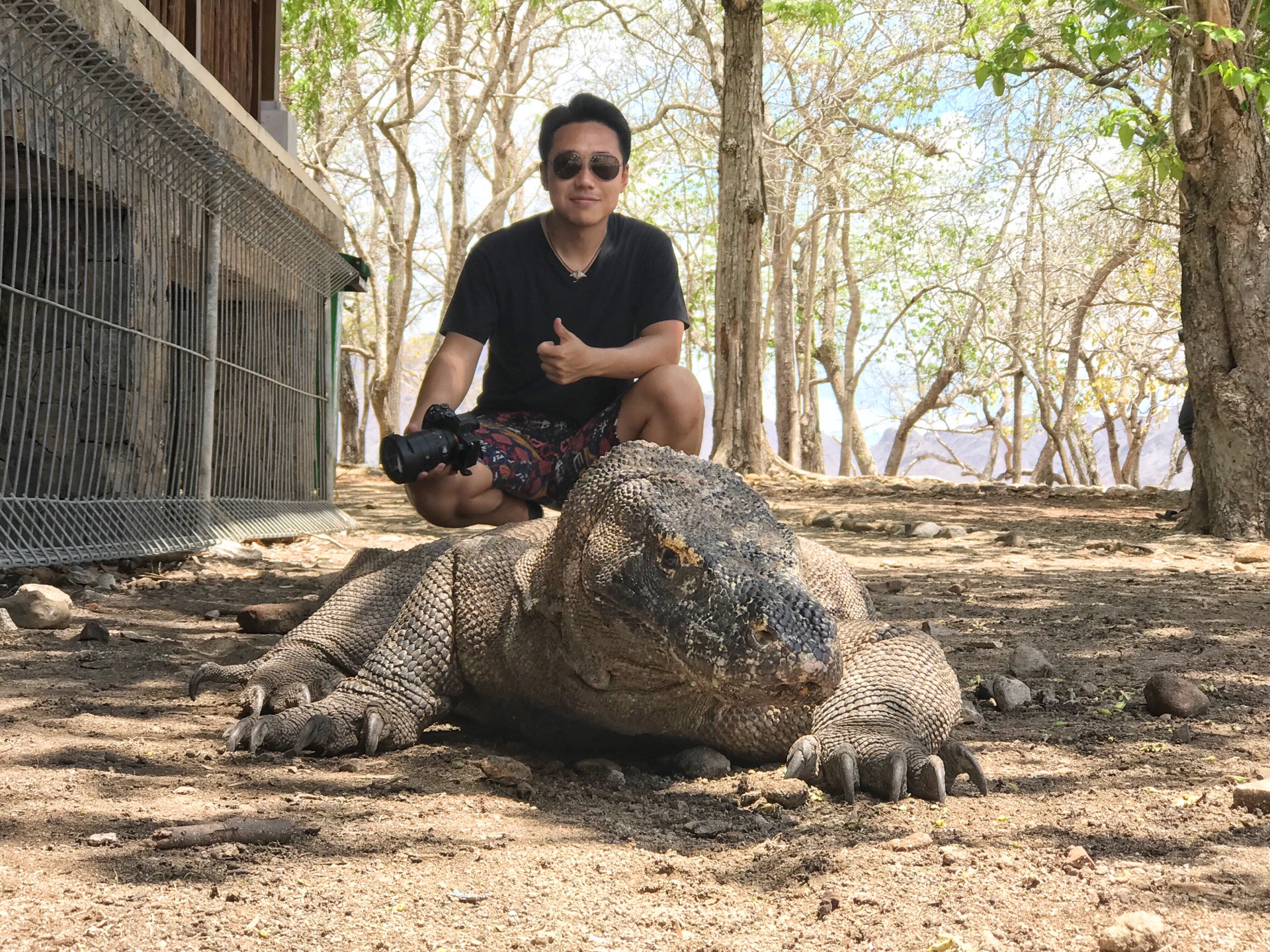 🦎莫多龙是目前地球上最大的蜥蜴！  👳🏼‍♀️我来到印度尼西亚的科莫多岛，在这个岛上有一种世界上最大