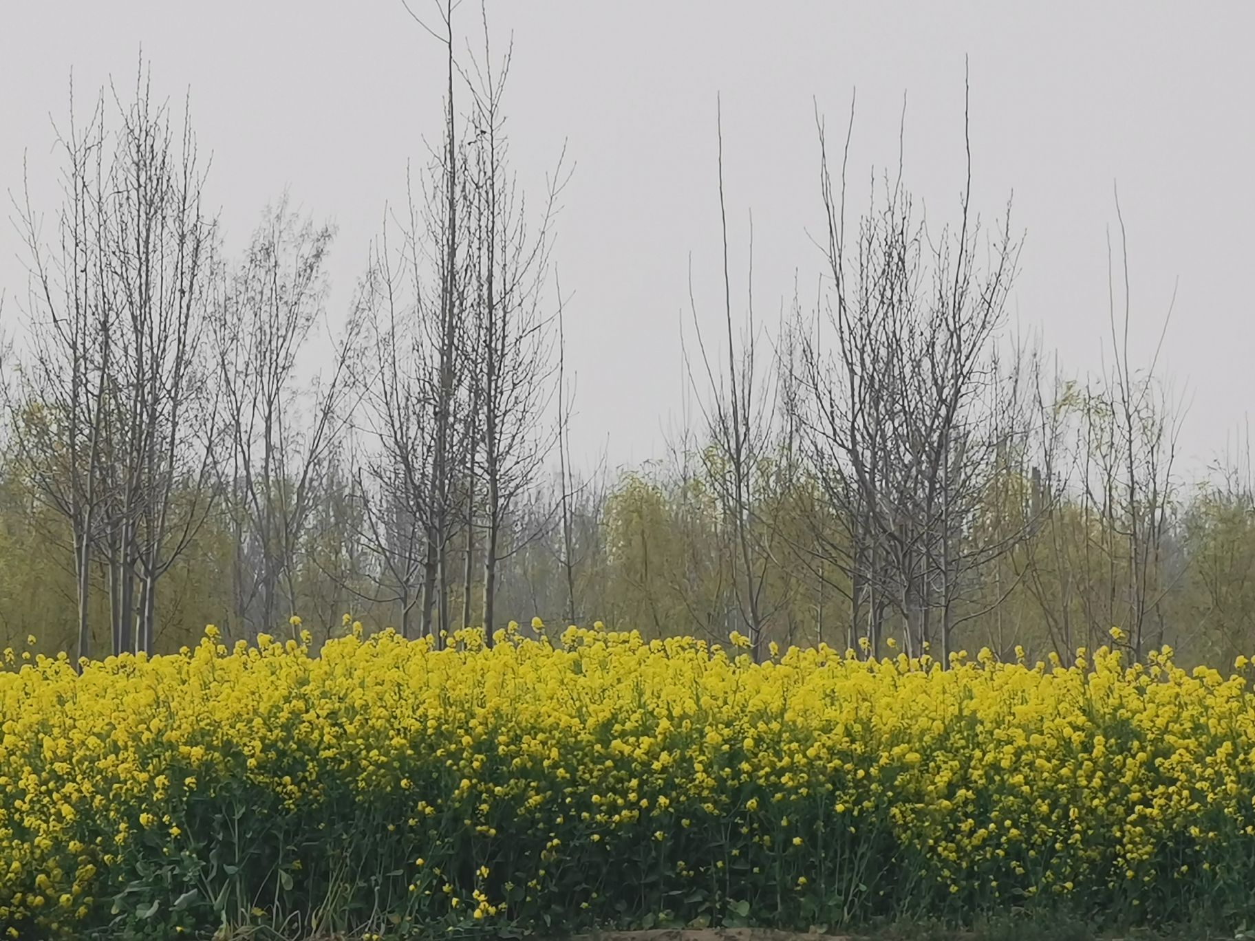 石鼓广场