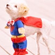 潘先生不是胖先生