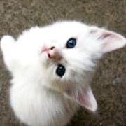 镇里的沉默小土豆