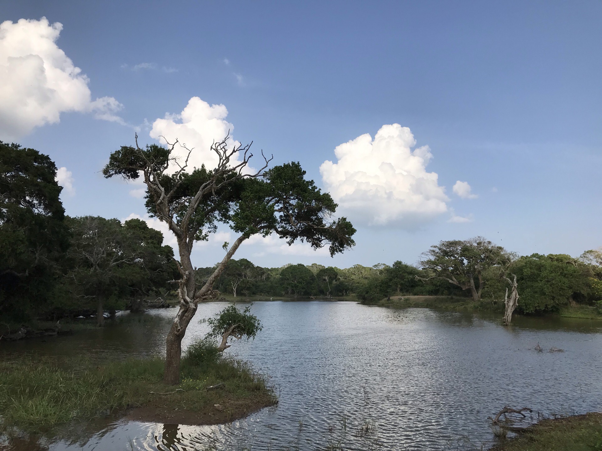 雅拉公园的天空，Sri Lanka之旅