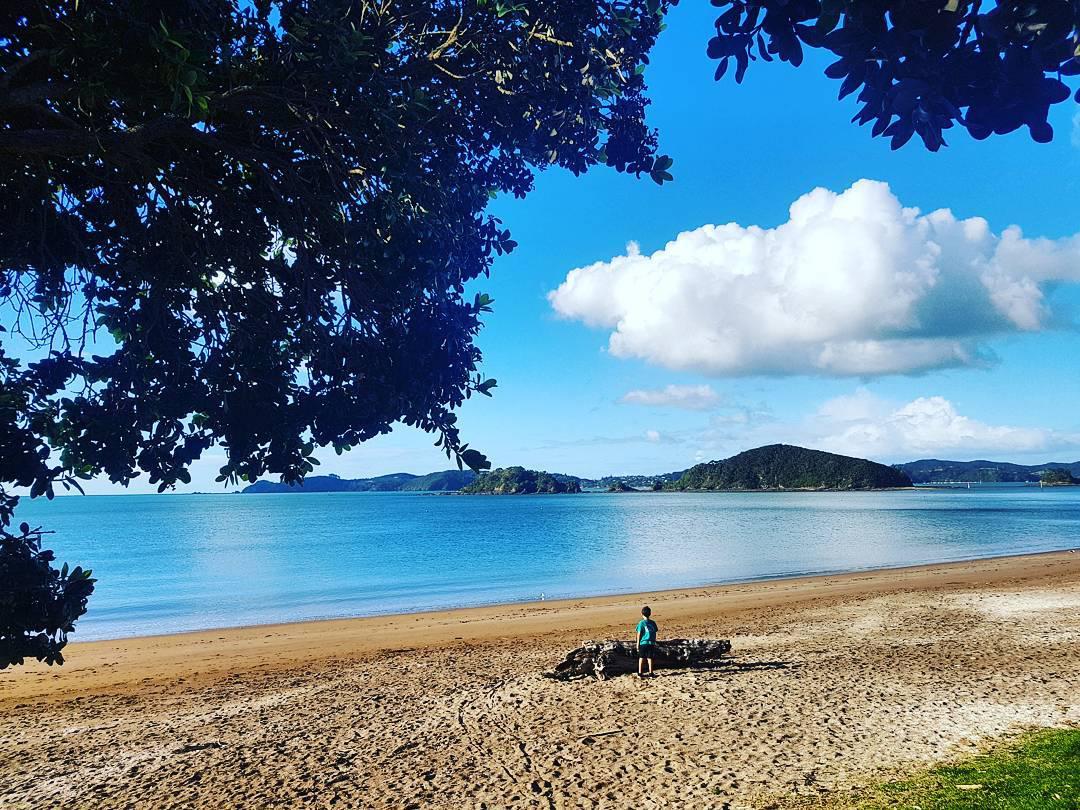 共度浪漫的海岸时光—派希亚海滩     派希亚海滩是新西兰的没有经过人为开发的一个热带海滩，沙滩虽然