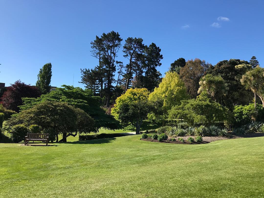 安利一个新西兰超级大超级漂亮的公园  在新西兰的最后一天，👭我和闺蜜打算去我们住的酒店附近的一个公园