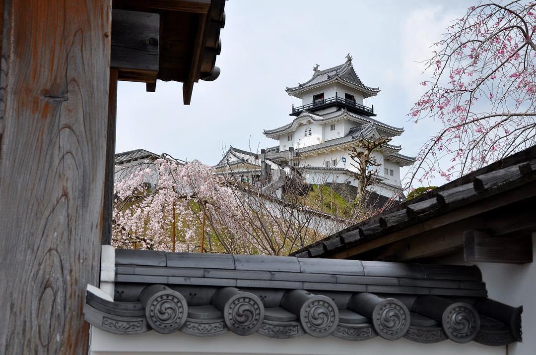 史的印记，日本百大名城之一      作为一个历史爱好者，比起那些现代化的景点，每去到一个新的城市旅