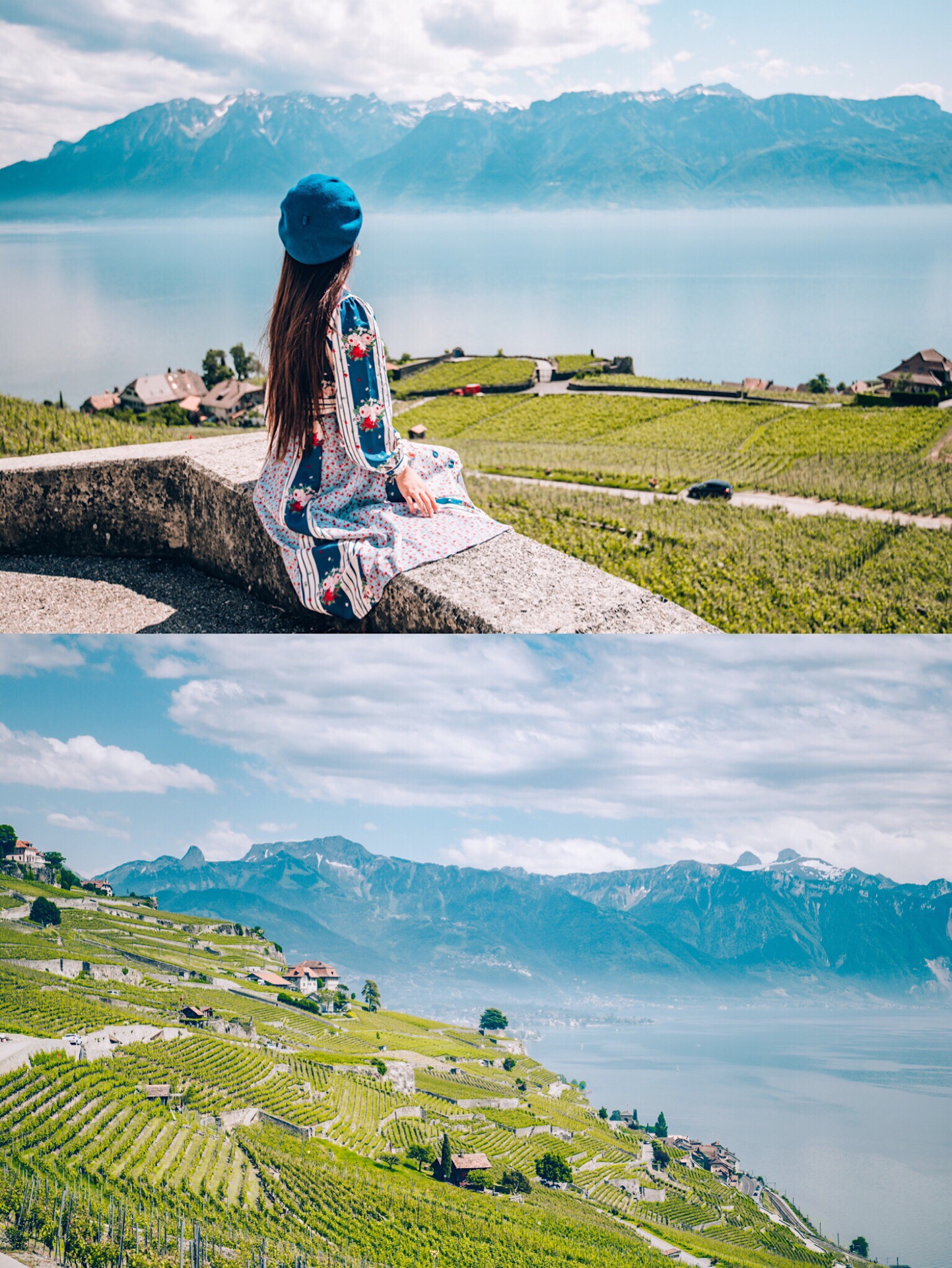 瑞士小众旅行地|雪山脚下的 拉沃葡萄园梯田    瑞士旅行最喜欢的地方竟然是 沃韦 郊外的拉沃葡萄园