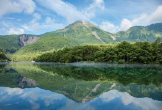 大正池景点图片