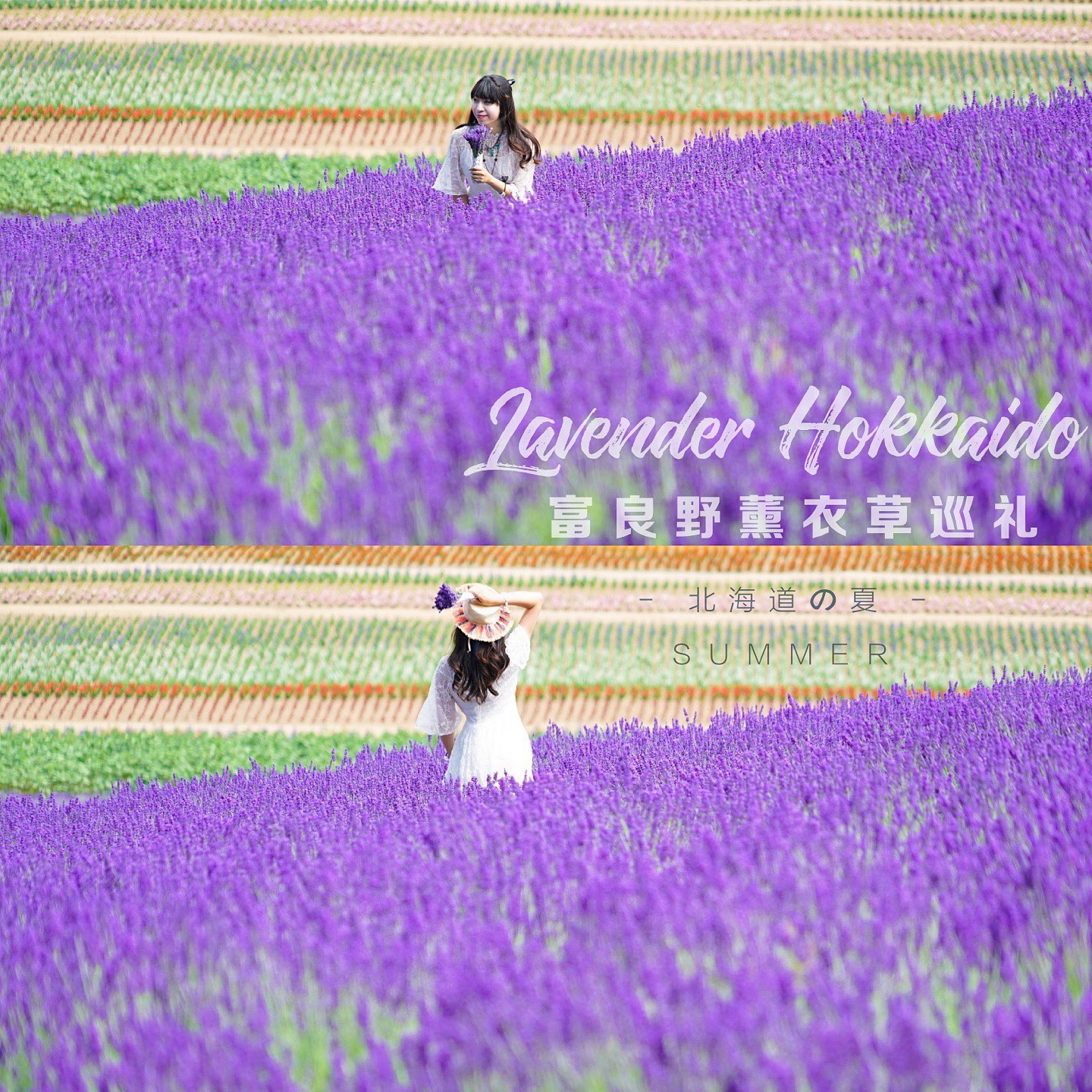 北海道旅行|最全富良野薰衣草攻略 💜避开人潮👉日の出公園 日之出是日本第一个拥有大型薰衣草花田的公共