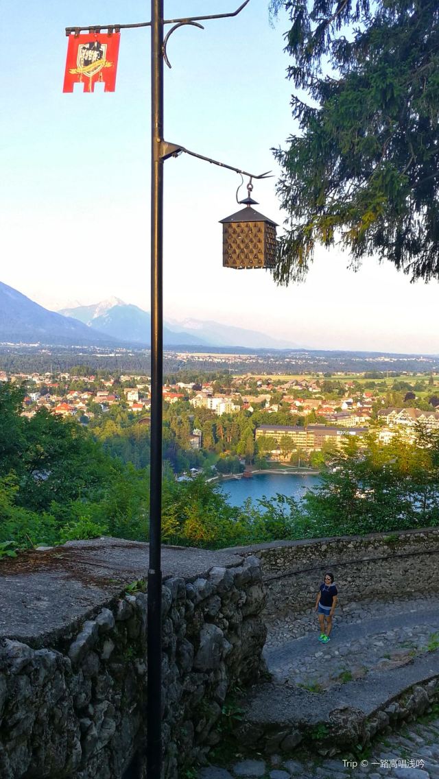 Bled Castle (Blejski Grad)