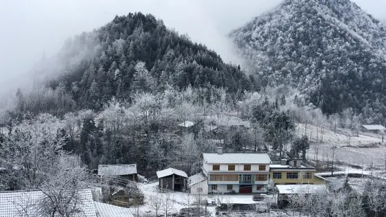 新塘鄉