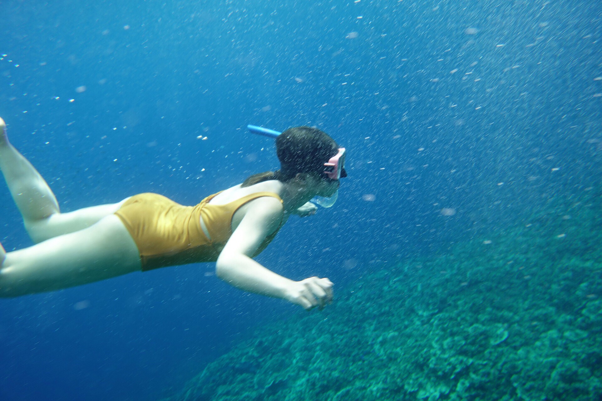 沙丁鱼风暴旁，水质更好的潜点 墨宝是浮潜和潜水的天堂，有媲美马尔代夫的水质风光，有远少于知名海岛的人