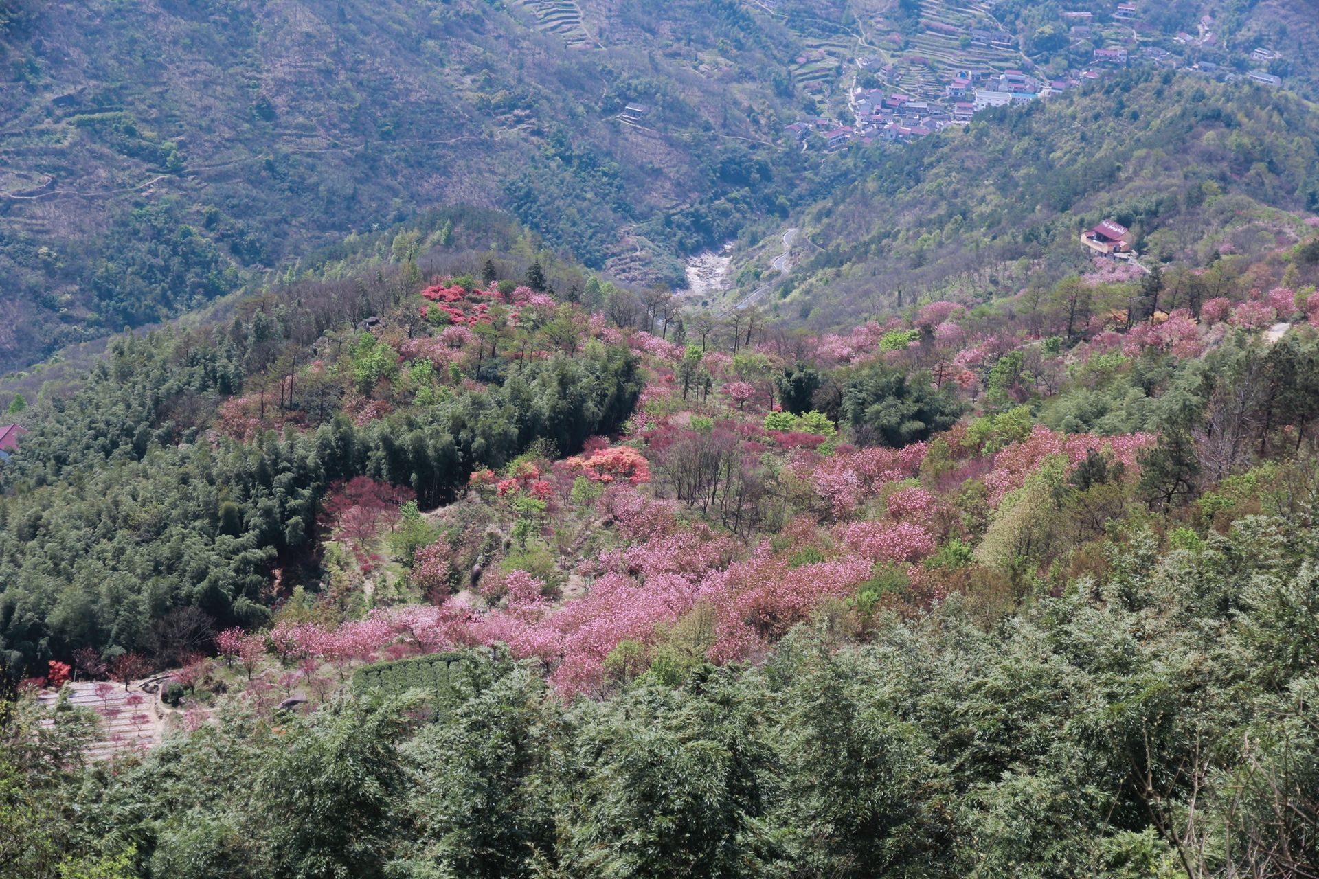 上海周边周末好去处～浙东余姚四明山 🏞【目的地攻略】  🚗交通攻略：上海自驾前往三个小时车程  🛏酒