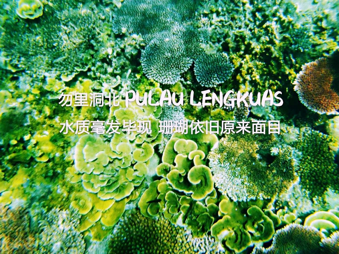 Pulau Lengkuas附近的水域，是一片保存相当完好的珊瑚礁，和爱妮岛无序开发以致日渐受创的珊
