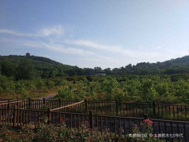 旅游攻略_玩转安徽淮南市舜耕山老佛洞!