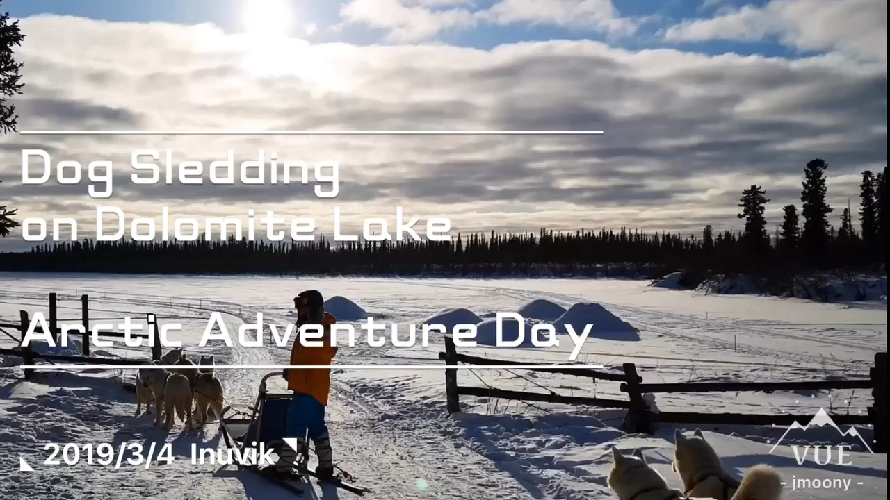D7 dogsledding  又是在北极圈内玩乐的一天，纯正的阿拉斯加雪橇犬带着我们驰骋在冰湖上面