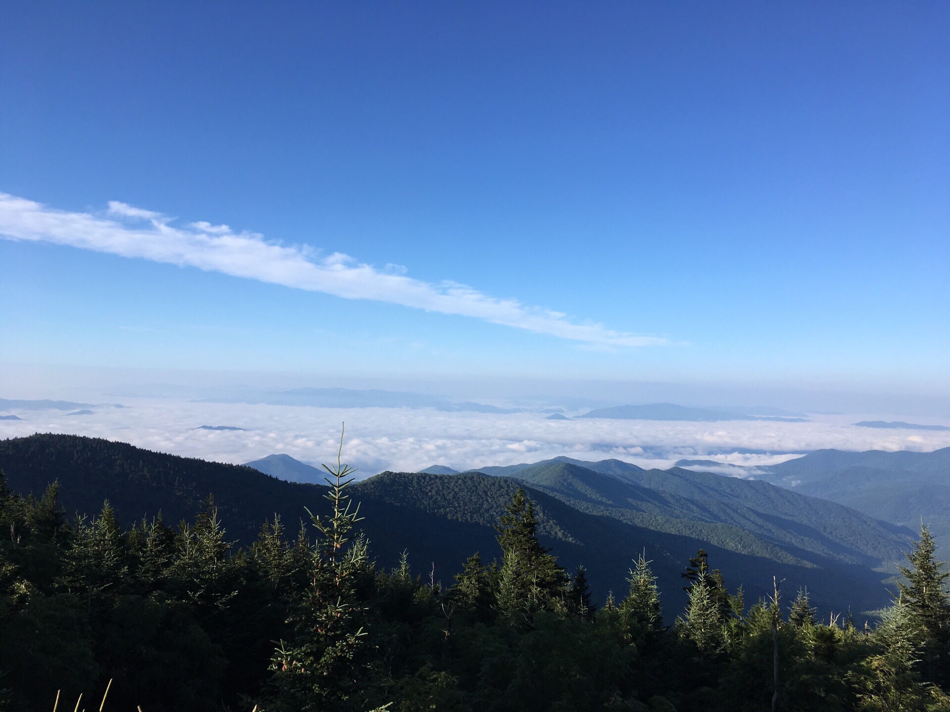 是烟？还是雾？还是云海？这就是Great Smoky Mountain，有时象蒙了一层蓝色的薄纱，那