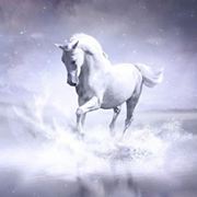 欣不在焉的灰姑娘