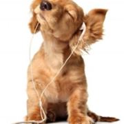 我不是完美小孩