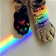 认认真真做好准备呀