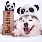 兮寻迷失的女人