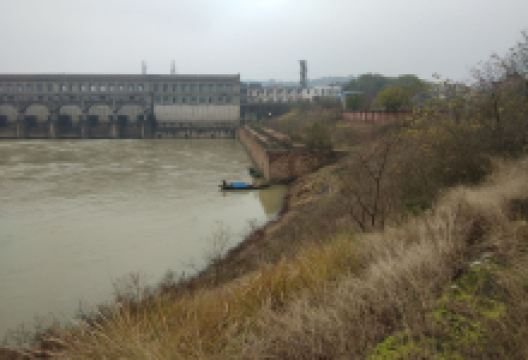 滨江公园景点图片