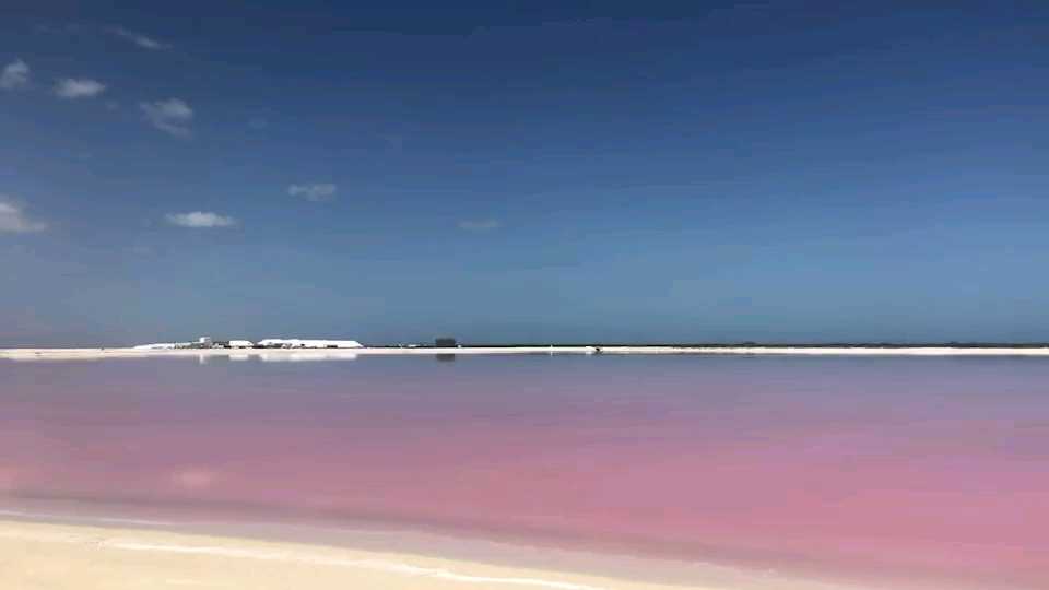 炸裂少女心～ 墨西哥粉红湖，距离墨西哥坎昆3小时的车程距离，湖水颜色是粉红色，源于湖中大量的红色浮游