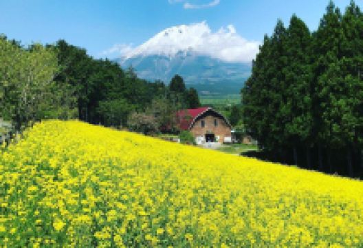 马饲野牧场景点图片
