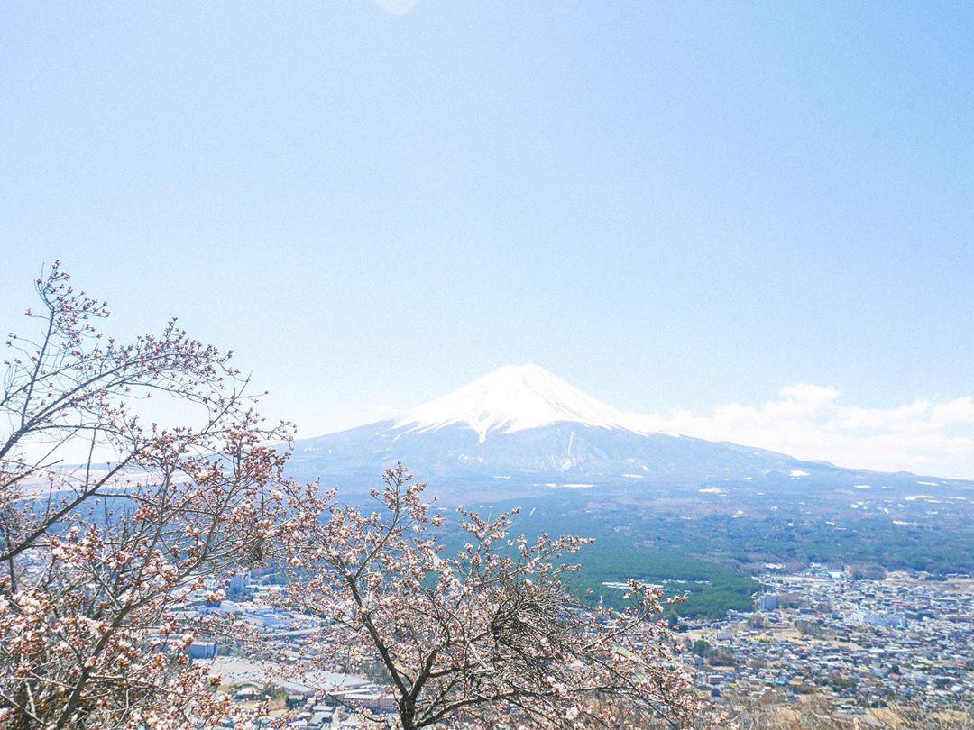 来日本旅游必打卡之地-富士河口湖町 ，看这篇攻略就够了  富士河口湖町是日本著名旅游城市，这里有很多