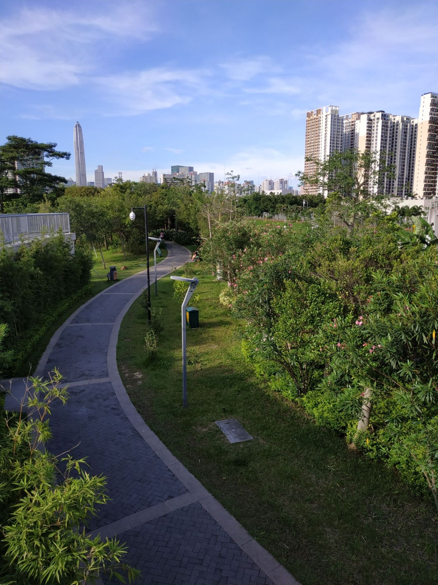 深圳红树林湿地生态展览馆