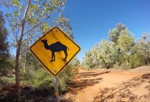 Ayers Rock Resort景点图片