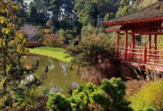 Emu Valley Rhododendron Garden景点图片