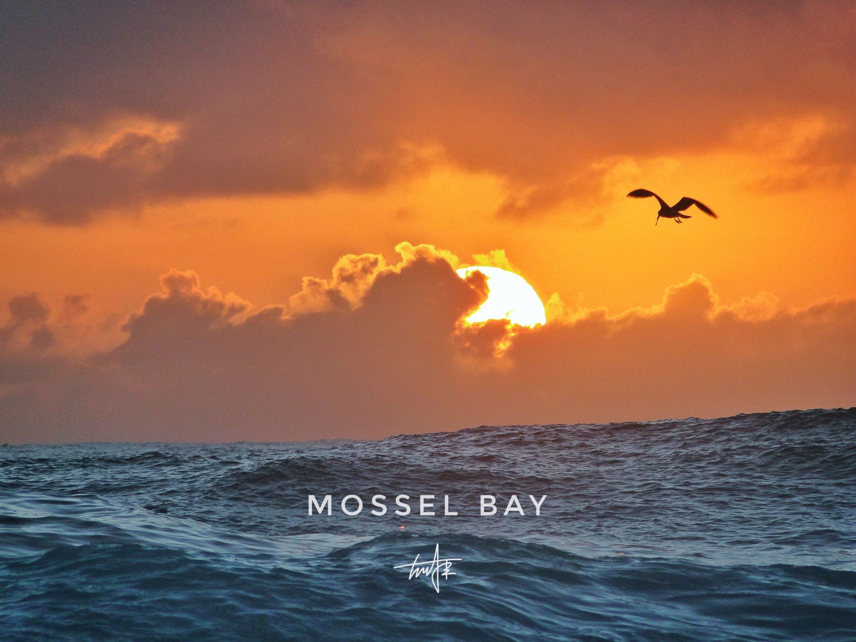 摩梭湾(MosselBay)是一个极具欧洲风格的海滨城镇，也是葡萄牙航海家迪亚士最先登陆南非的地点。