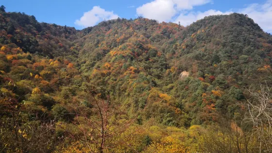 泥巴山