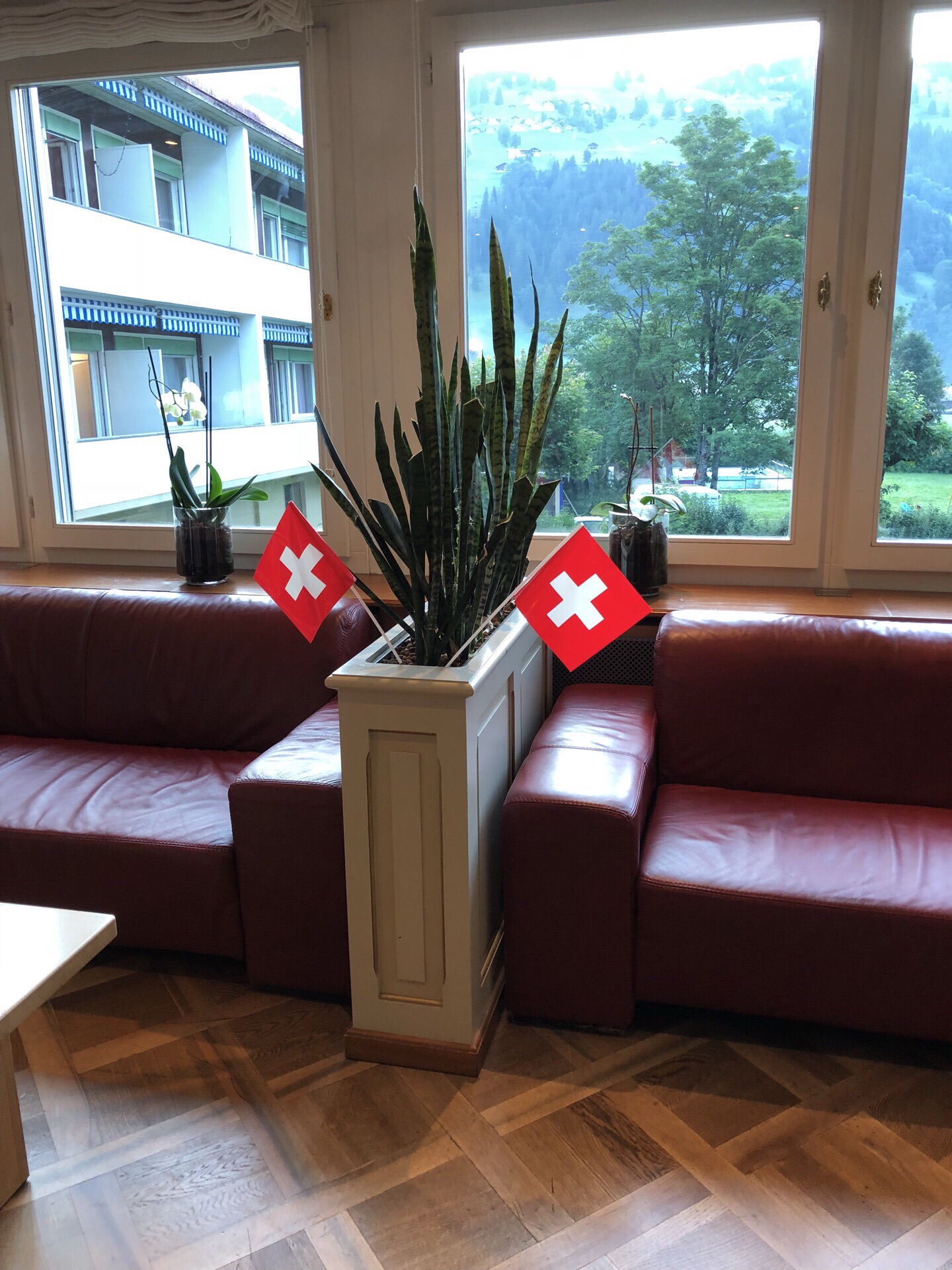 瑞士，是欧洲最美的国家，特别是流苏城市很美。