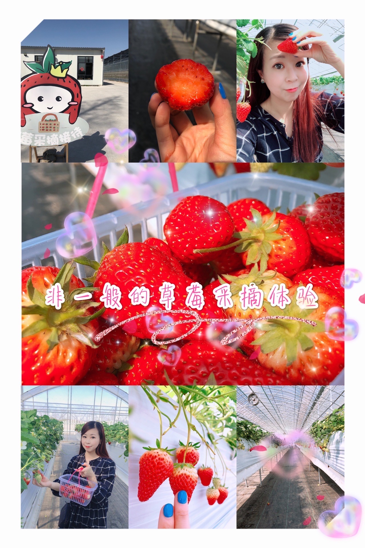 🍓非一般的草莓采摘体验🍓  想做你的小草莓，一口一口吃掉甜蜜呀！   🌈🌈草莓君在余杭东湖街道的大运