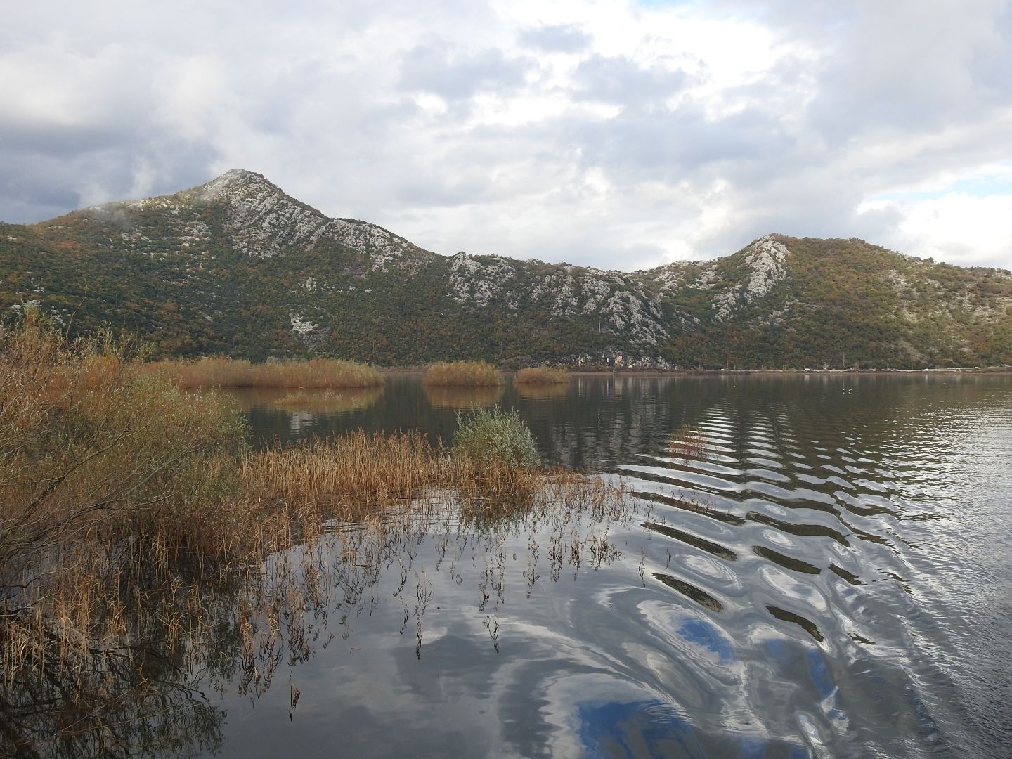 黑山-阿尔巴尼亚界湖-斯库台湖湿地